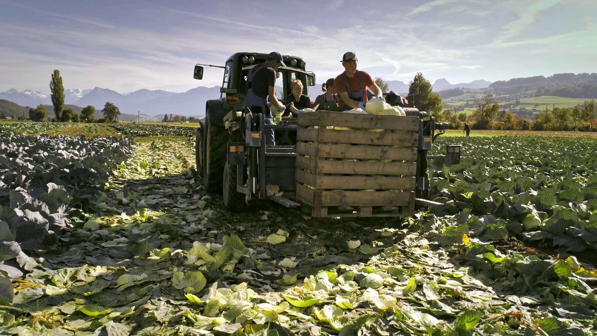 Il faut de bons sols et beaucoup de travail manuel pour produire de bons légumes suisses.