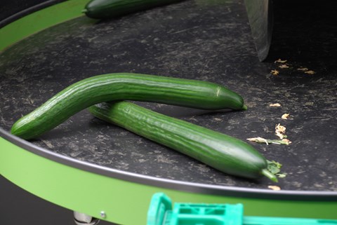 Courgettes  Légumes suisses